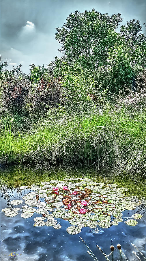 Pond at Vanserum Photograph by Elaine Berger