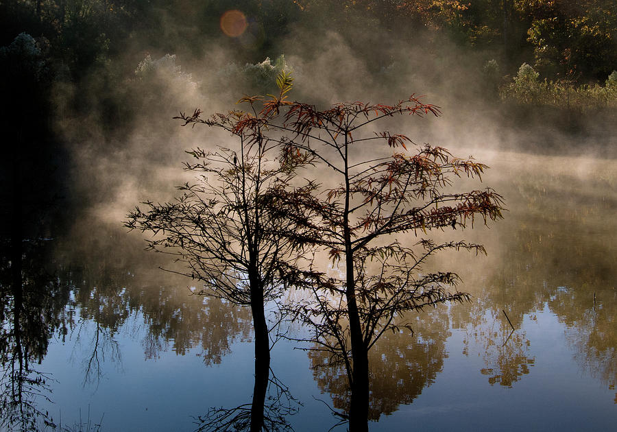 Pond Fog in the North Carolina Uwharrie National Forest, Photograph, Print Photograph by Eric Abernethy