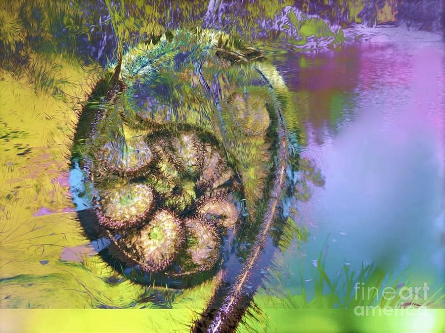 Pond Frond Digital Art by Tracey Lee Cassin