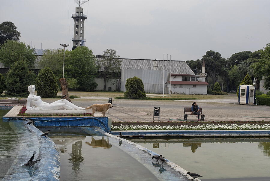 Pond in a public park with a statue,birds,dog and the owner. Photograph by Emreturanphoto