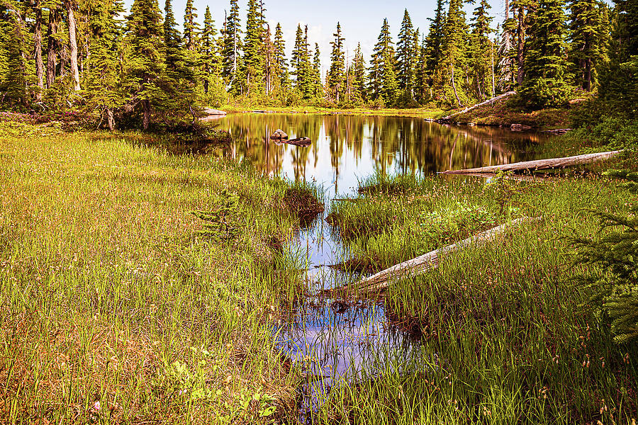 Pond In Alpine Country Photograph by Claude Dalley