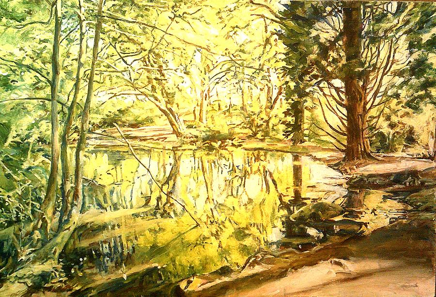 Pond In Heaton Park Painting by Rosanne Gartner | Fine Art America