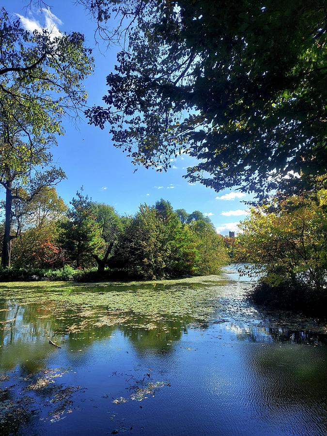 Pond in Prospect Park Photograph by Lyubov Shovkun - Fine Art America