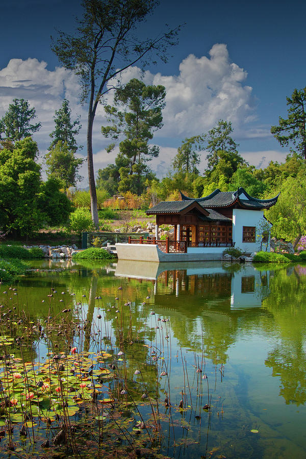 Pond in the Huntington Chinese Botanical Garden Photograph by Randall Nyhof