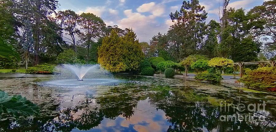 Pond In the Park Photograph by Kimberly Furey