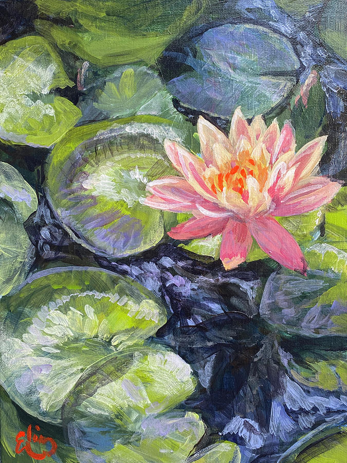 Pond Lily Painting by Elin Thomas - Fine Art America