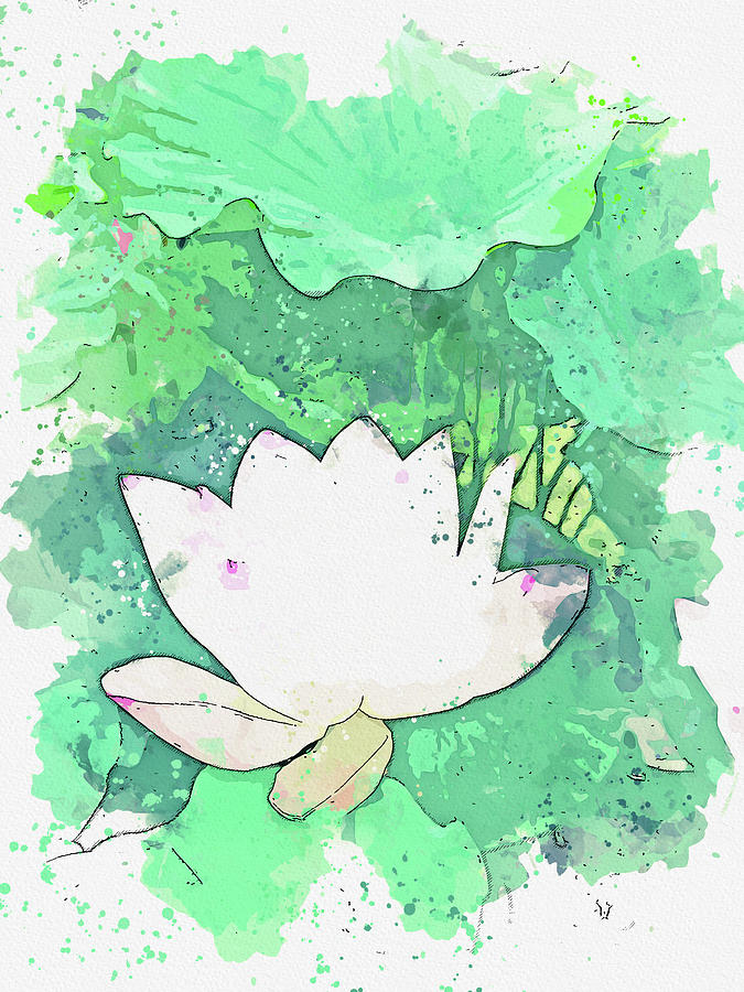 Pond Lily Lotus In Watercolor Ca By Ahmet Asar Painting