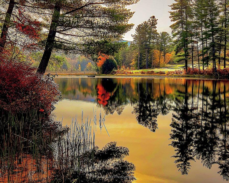 Pond on Winnipesaukee  Photograph by John Gisis