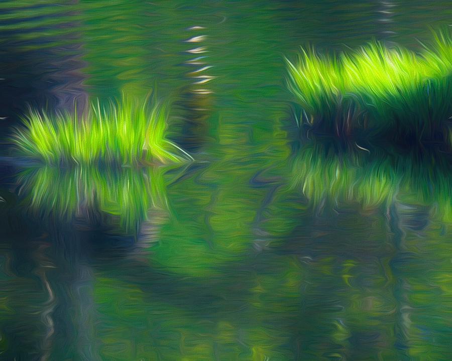 Pond Patterns  Photograph by Iina Van Lawick