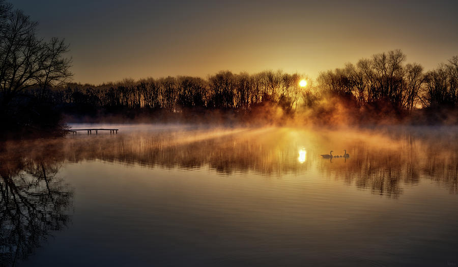 Pond Perfection - Golden foggy sunrise at pond with geese and goslings south of Stoughton WI Photograph by Peter Herman