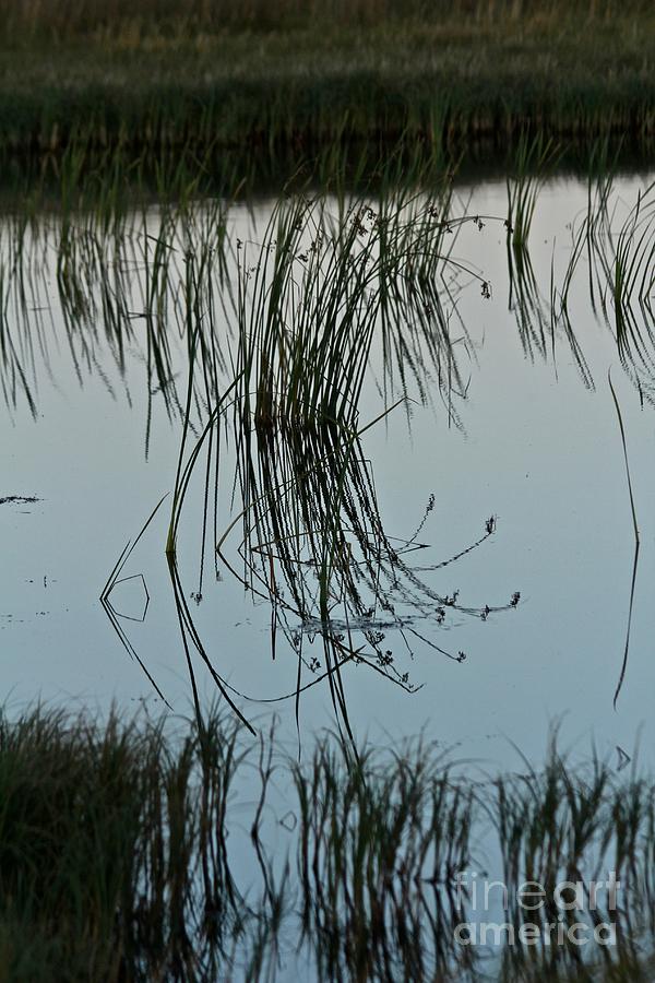 Pond Reflection Photograph by Ann E Robson