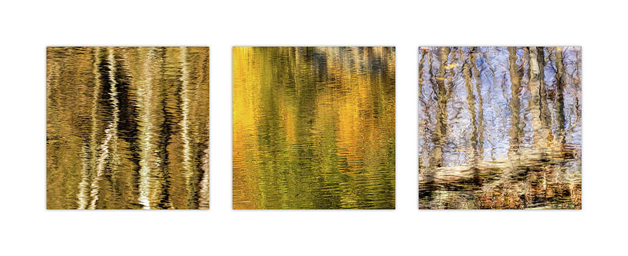 Pond Reflections Triptych Photograph