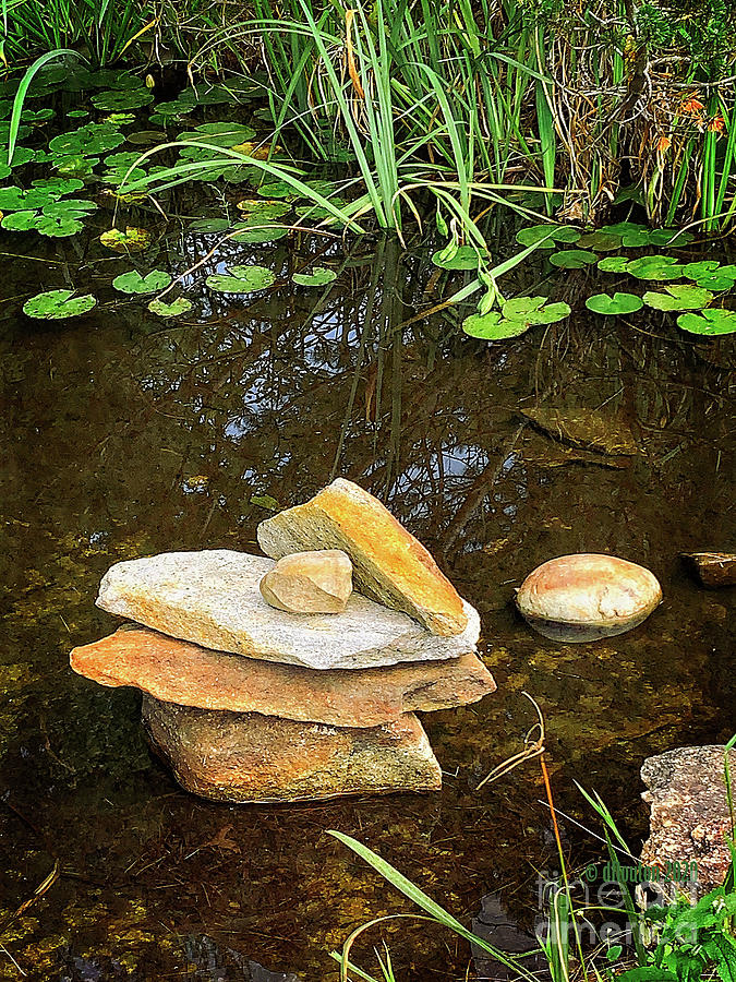 Tree Digital Art - Pond Stones by Dee Flouton