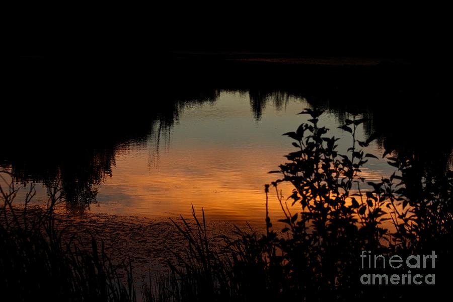Pond Sunset Photograph by Ann E Robson