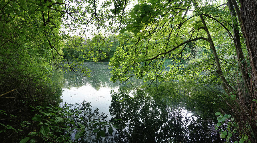 Pond Tervuren Photograph by Erik Tanghe