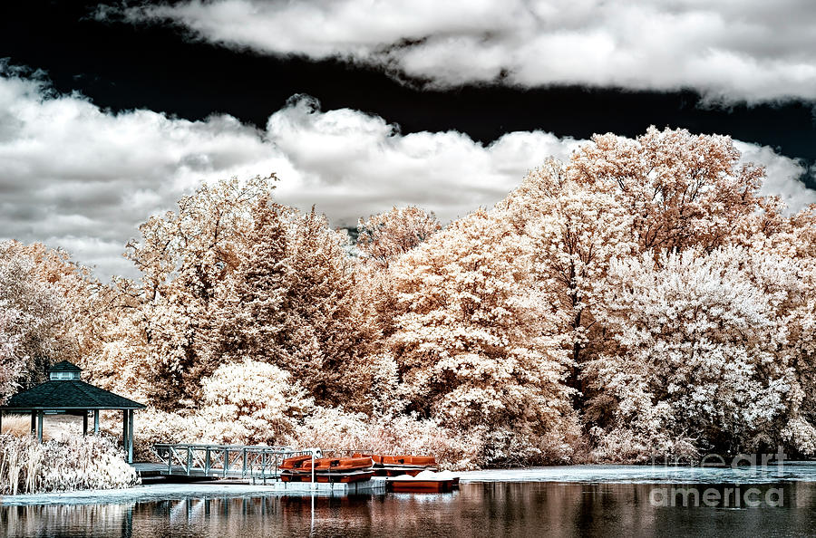 Pond View Infrared at Colonial Park Photograph by John Rizzuto