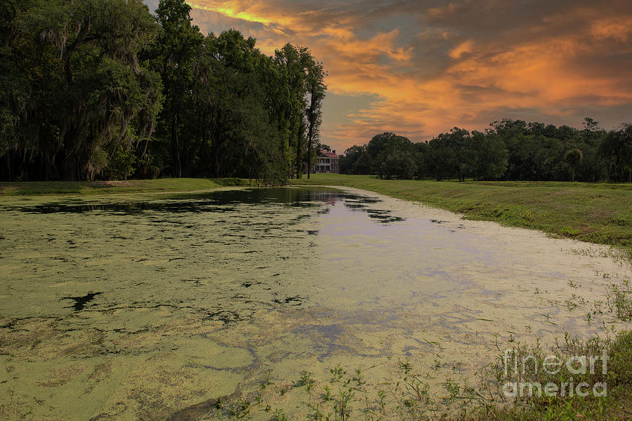 Pond View To Drayton Hall - Charleston South Carolina Photograph