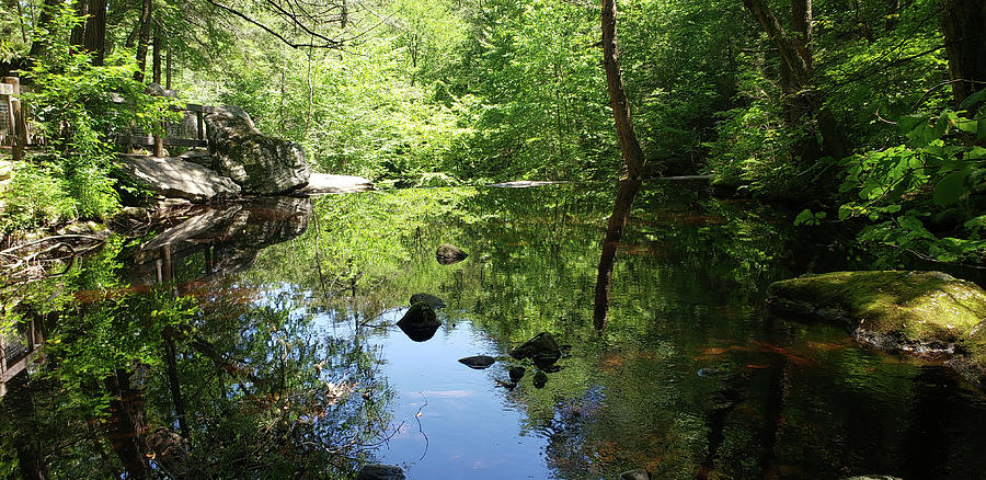 Pond With A Mirror Reflection Photograph by Mike M Burke - Fine Art America