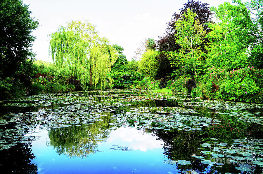 Pond With Lilies In Giverny Photograph