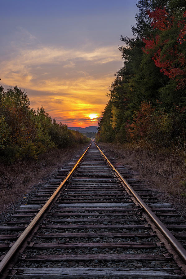 Pondicherry Sunset Tracks Photograph by White Mountain Images