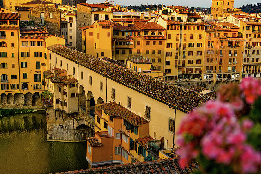 Ponte Vecchio Photograph by Marian Tagliarino