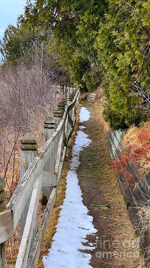 pontiac mountain bike trail