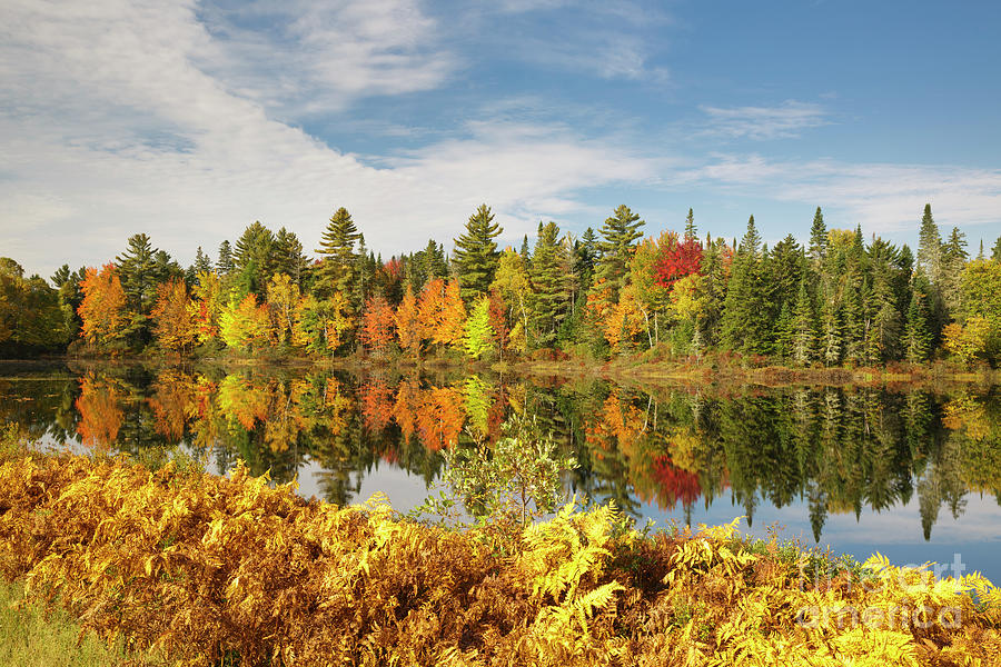 Pontook Reservoir - Dummer New Hampshire Photograph by Erin Paul ...