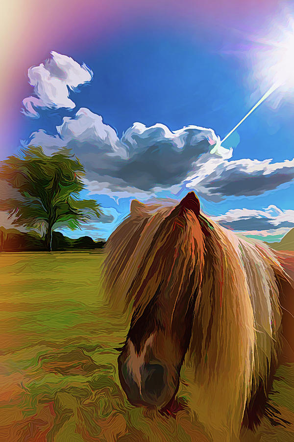 Pony Sun Fun Digital Art by LGP Imagery
