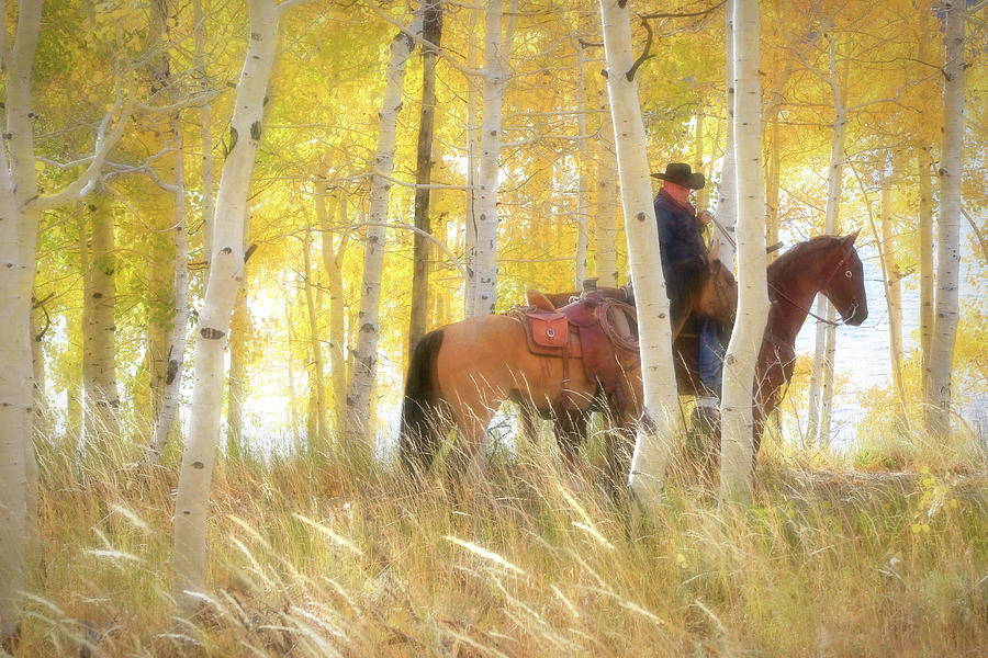 Ponying Photograph by Donna Kennedy