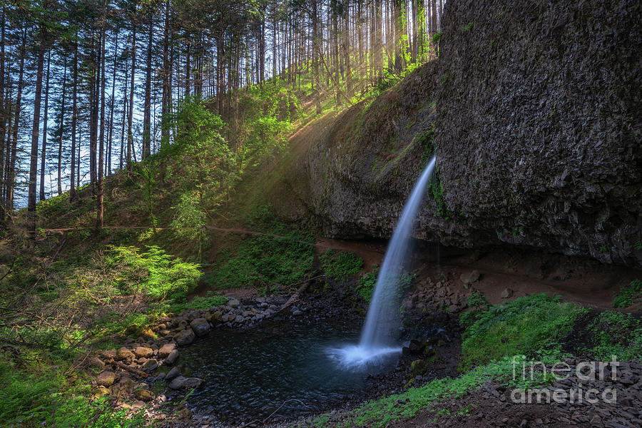 Ponytail Falls Sunrise  Photograph by Michael Ver Sprill