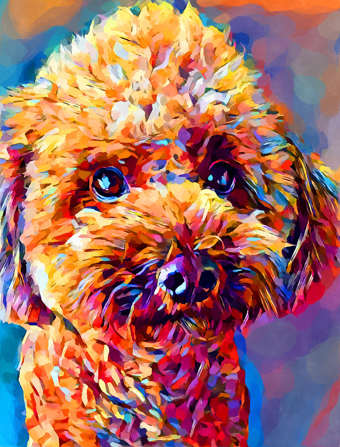 Poodle 2 Painting by Chris Butler