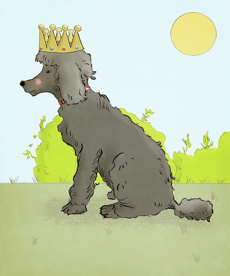 Summer Drawing - Poodle Princess by Roberta Murray