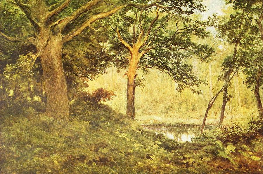 Pool in the Woods Painting by William Eyre Walker - Fine Art America