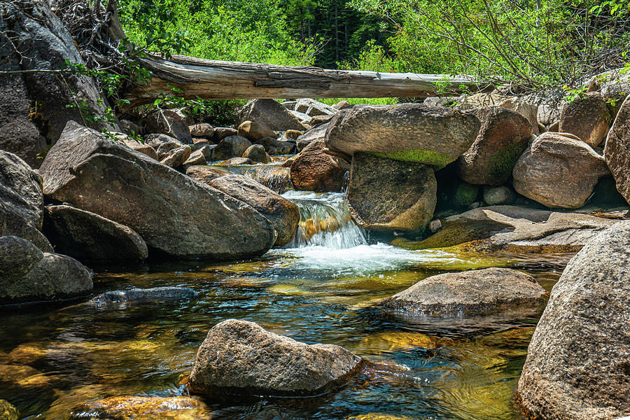 Pool Of Gold Photograph By Ron Long Ltd Photography Fine Art America