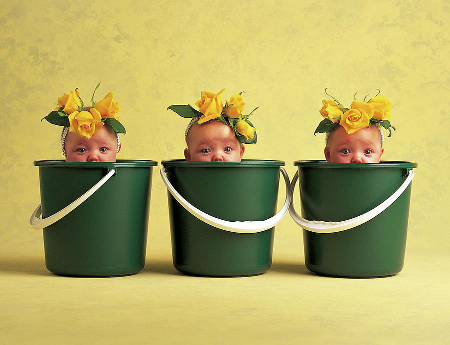 Rose Photograph - Pool Party by Anne Geddes