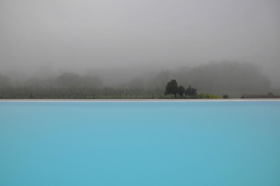 Poolside On The Vineyard Photograph by Rebecca Herranen