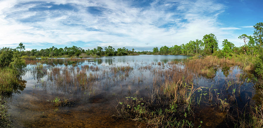 Pop Ash Creek Photograph by Robert McKay Jones