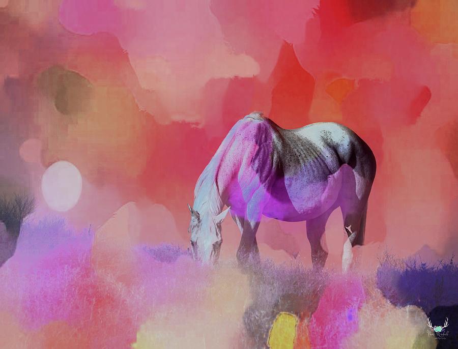 Pop of Color Horse Photograph by Pam Rendall