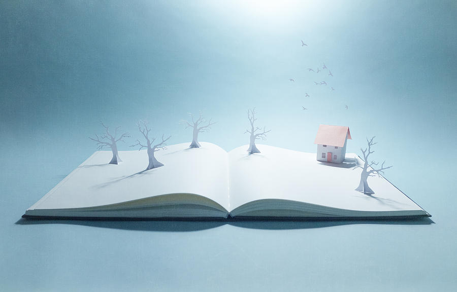 Pop-up book with trees and paper home Photograph by Catherine MacBride