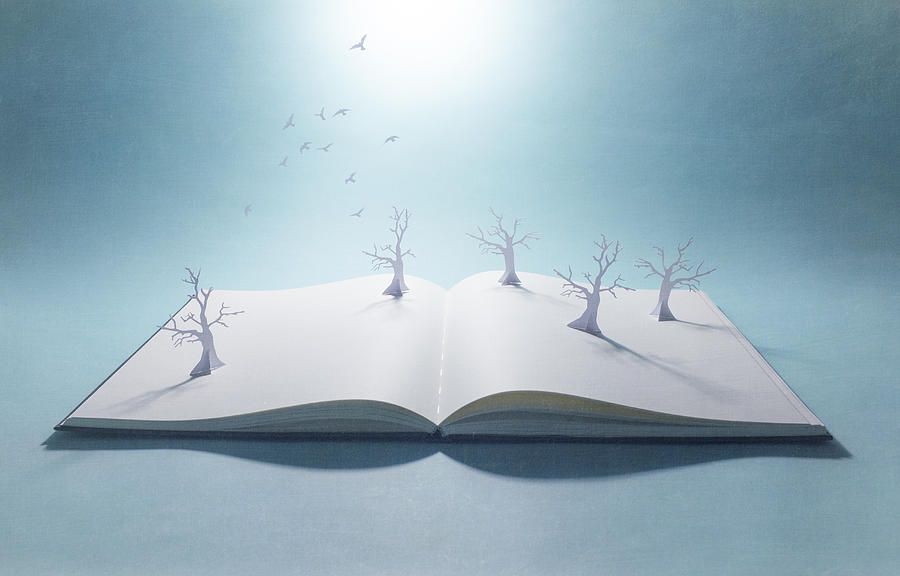 Pop-up book withpaper forest and flock of birds Photograph by Catherine MacBride