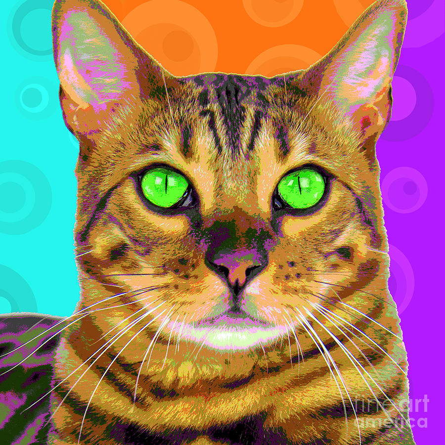 Popart Bengal Kitty Photograph