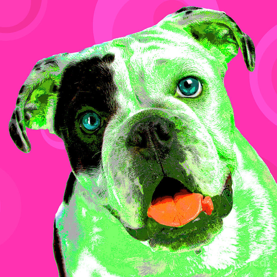 PopART Bulldog Puppy Photograph by Renee Spade Photography
