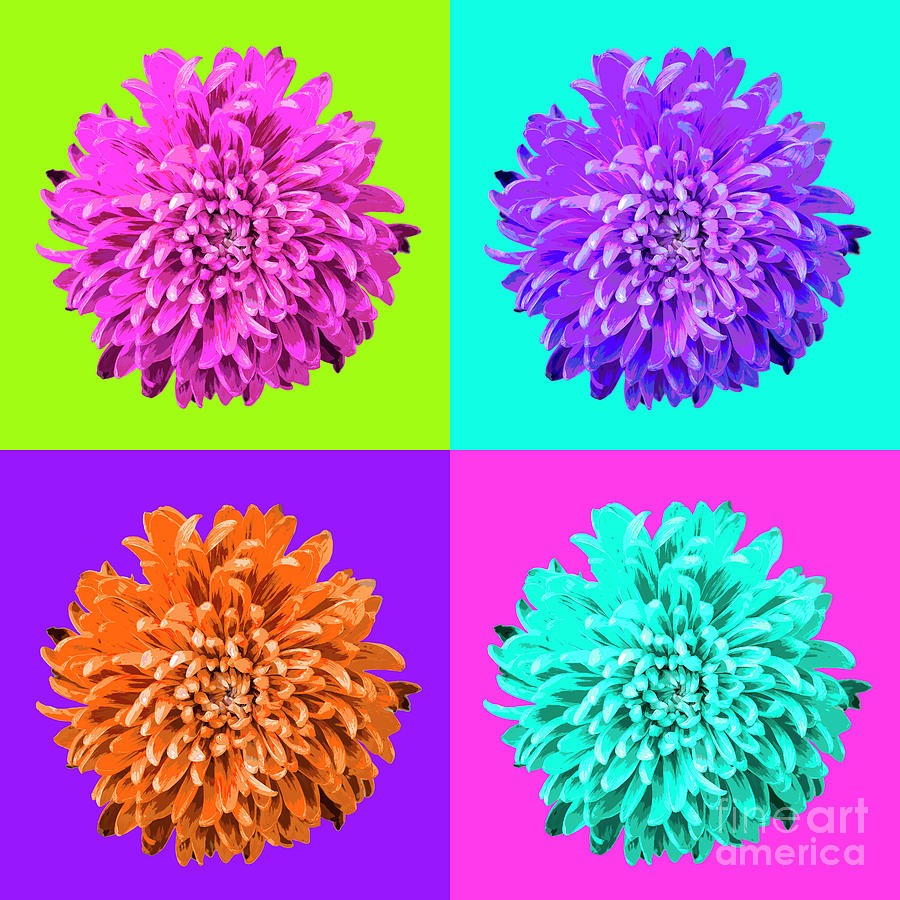 Popart Chrysanthemum 4-Square Photograph by Renee Spade Photography