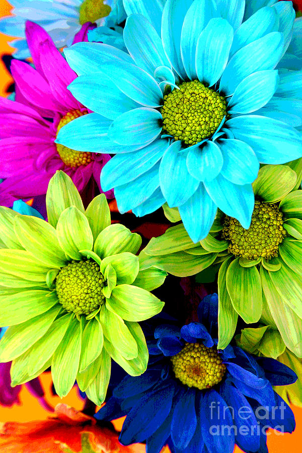 PopART Daisys Photograph by Renee Spade Photography