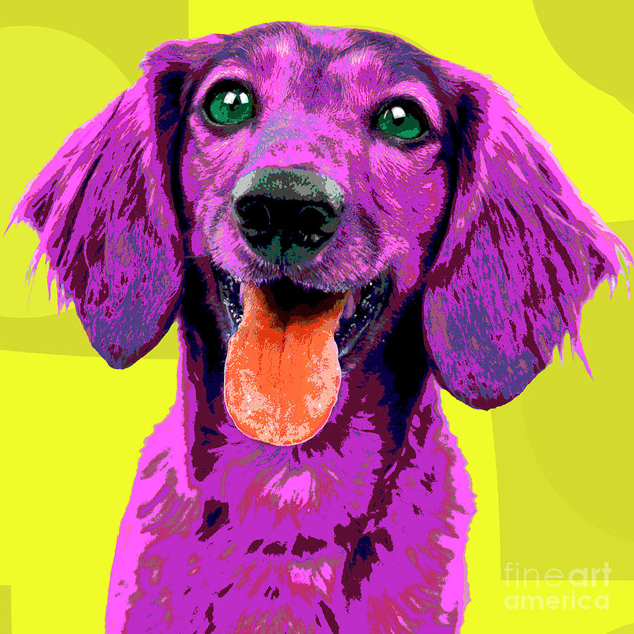 Popart Doxie Photograph