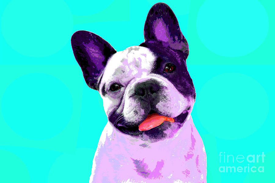 Popart Frenchie Photograph