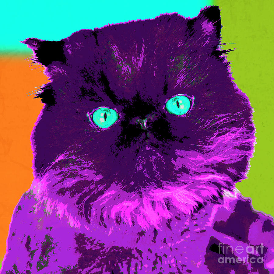 PopART Persian Kitty Photograph by Renee Spade Photography