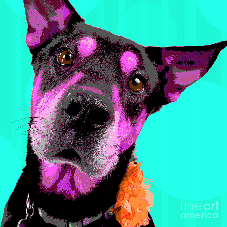 Popart Rottie Mix Photograph by Renee Spade Photography