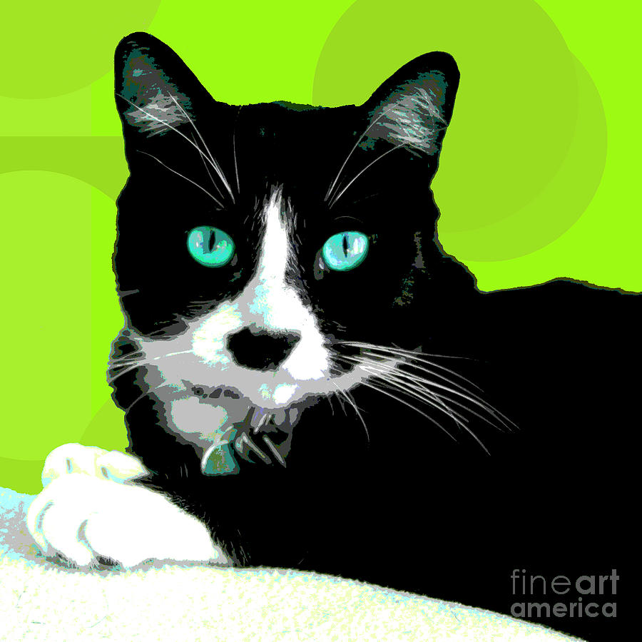 PopART Tuxedo Cat Photograph by Renee Spade Photography
