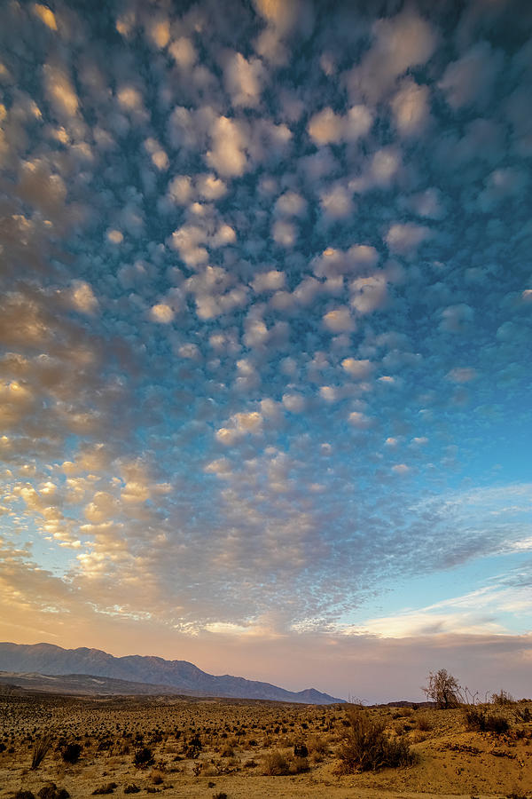 Popcorn Skies Photograph by Peter Tellone